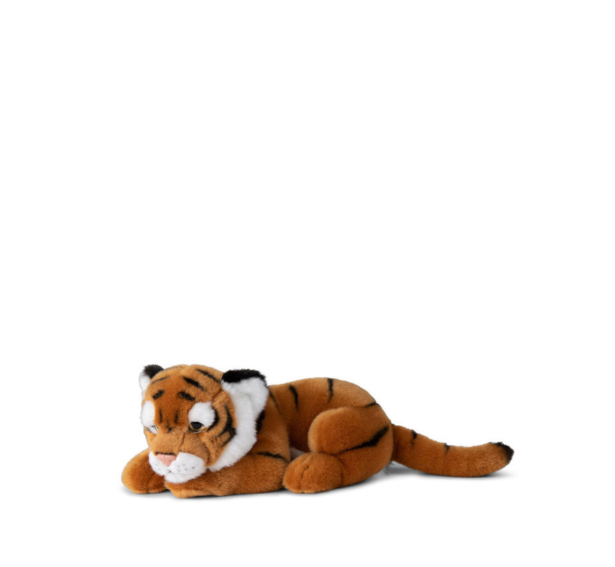 Tiger Lying 30cm