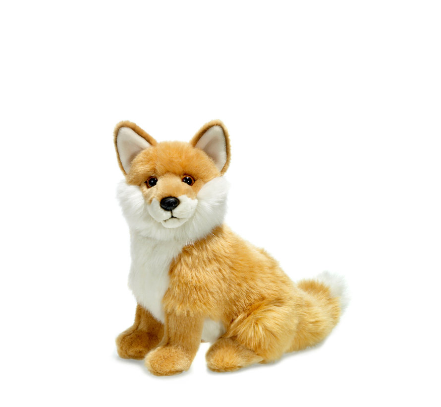 Red Fox Sitting 23cm