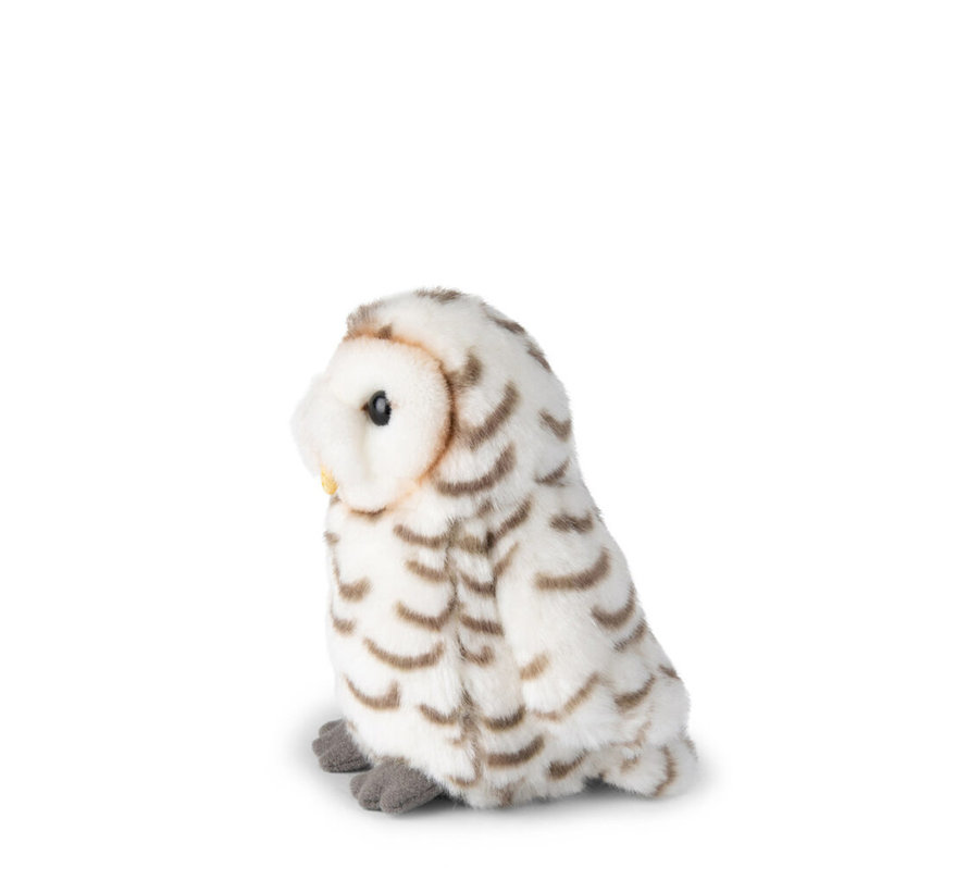 Snow Owl White 15cm