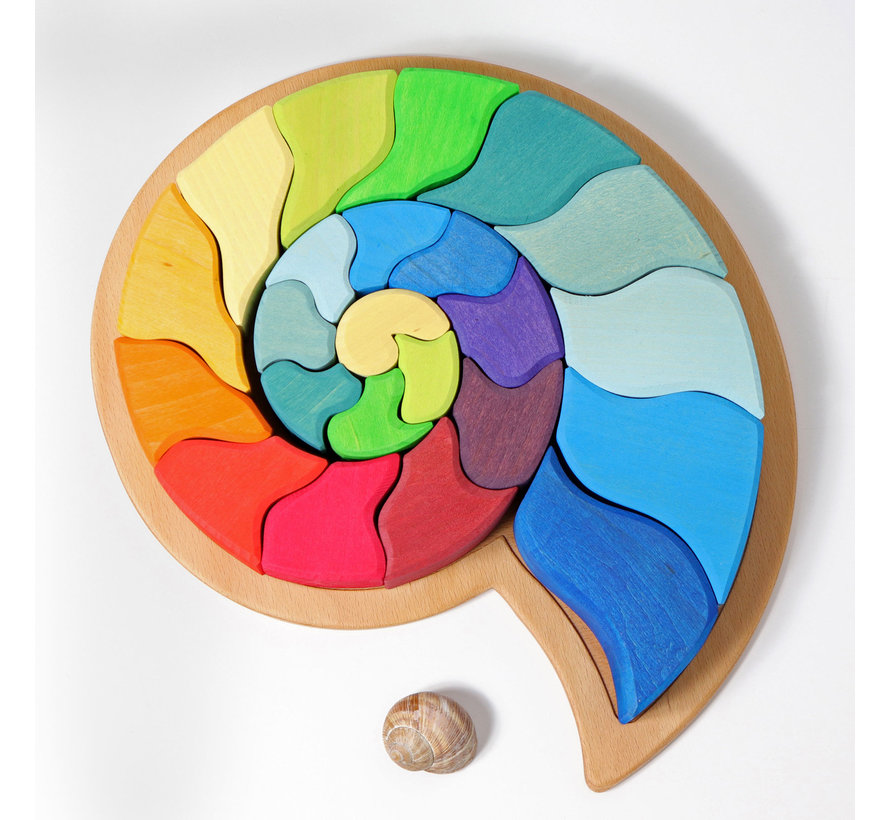 Building Set Ammonite