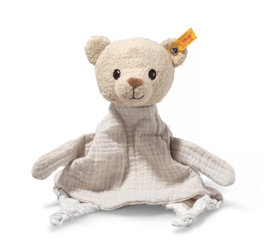 Teddy Bear Comforter 32cm