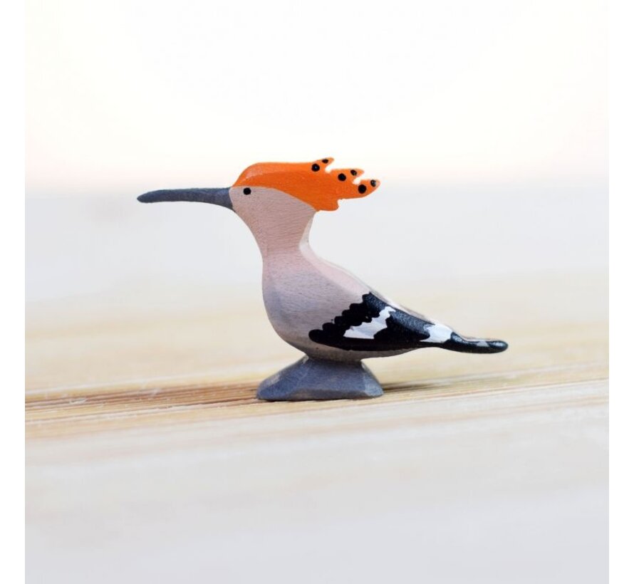 Hoopoe