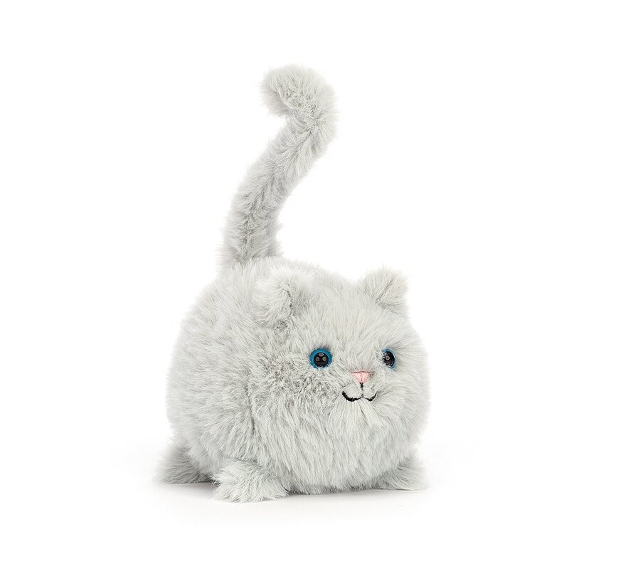 Kitten Caboodle Grey