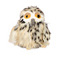 Lady Hooray Owl Kikeriki