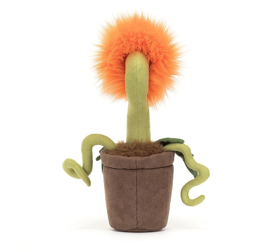 Knuffel Plant Carniflore Tammie