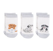 Wrendale Designs Little Paws Baby Socks Set - 6-12 Months