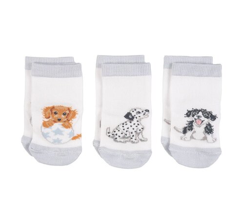 Wrendale Designs Little Paws Baby Socks Set - 6-12 Months