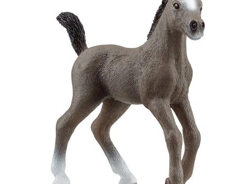 Schleich Selle Français-Veulen