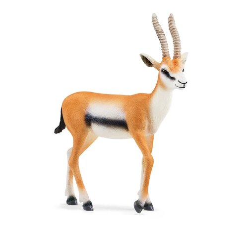 Schleich Thomsongazelle