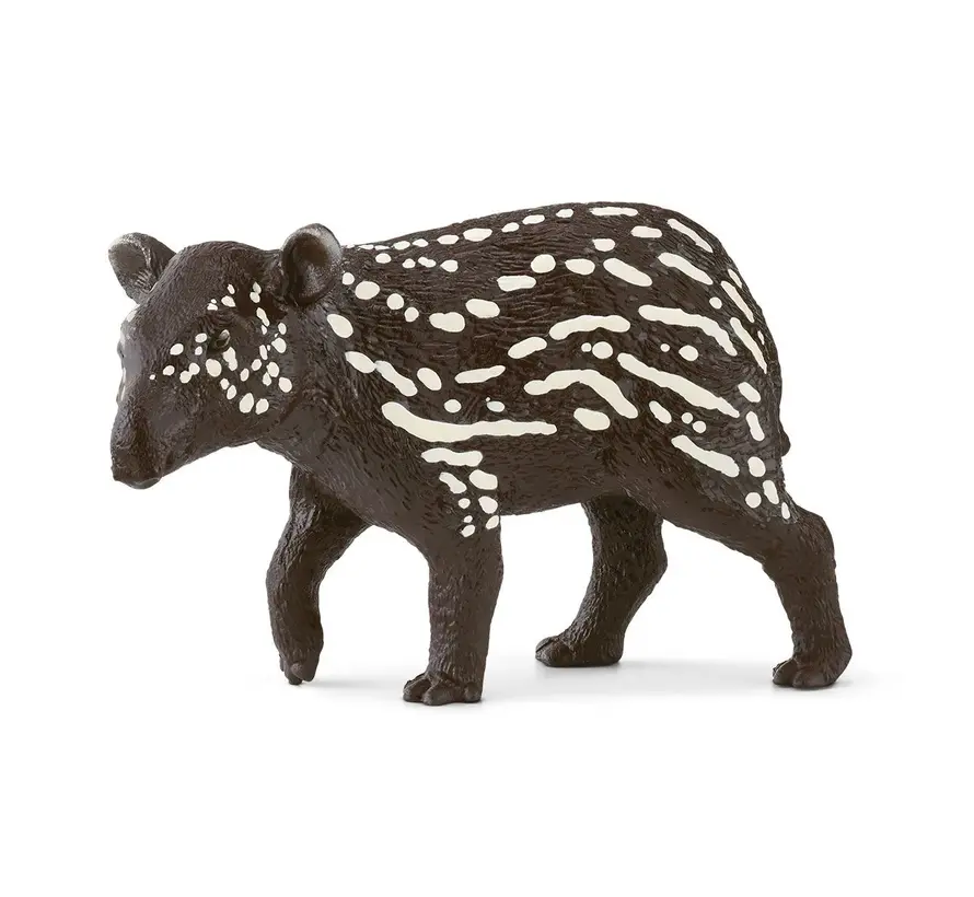 Tapir Baby