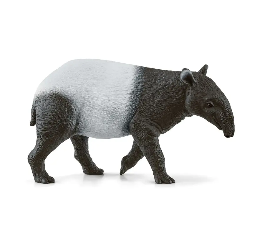 Tapir