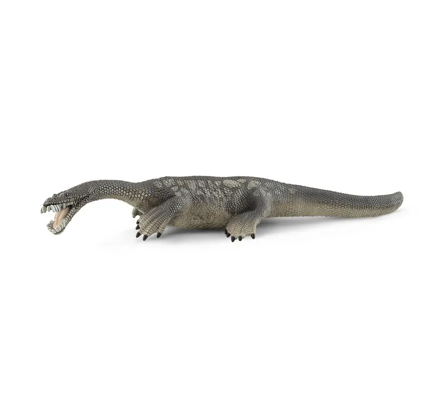 Dino Nothosaurus