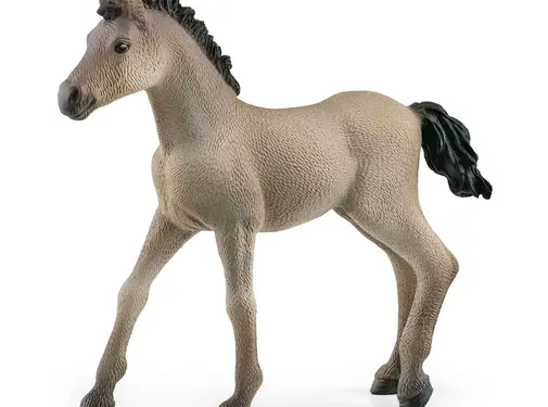 Schleich Paard Criollo Definitivo Veulen 13949