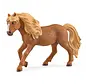 Paard IJslander Ponyhengst 13943
