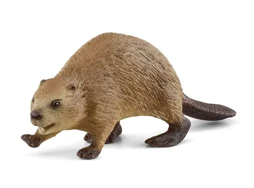 Schleich Beever 14855