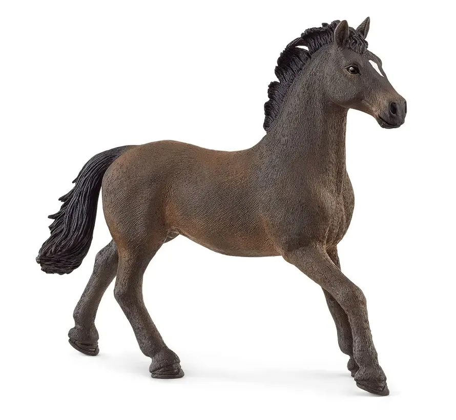Oldenburger Stallion 13946