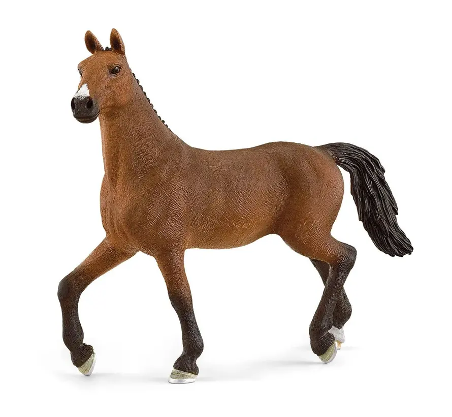 Paard Oldenburger Merrie 13945
