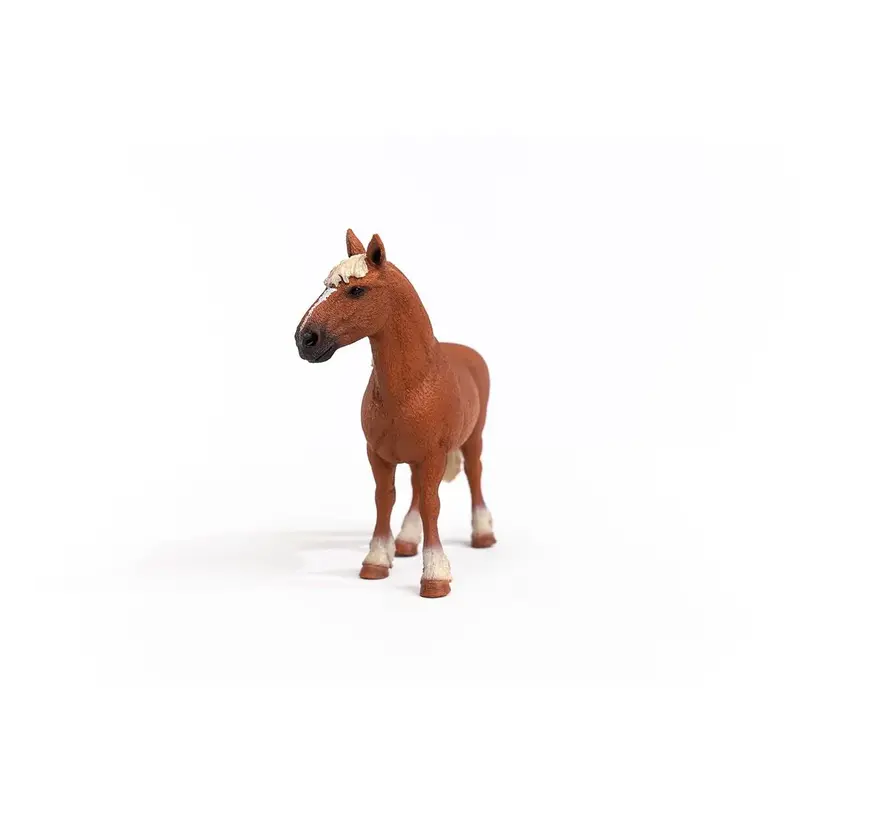 Belgian Draft Horse 13941