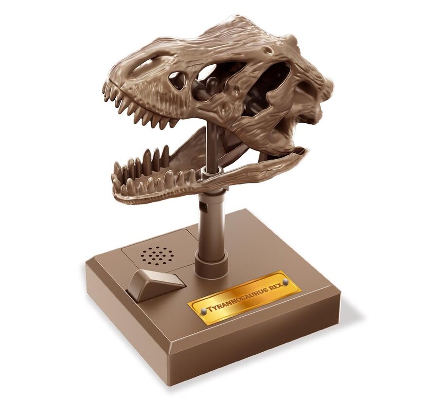 Kidzlabs Roaring T-Rex Skull