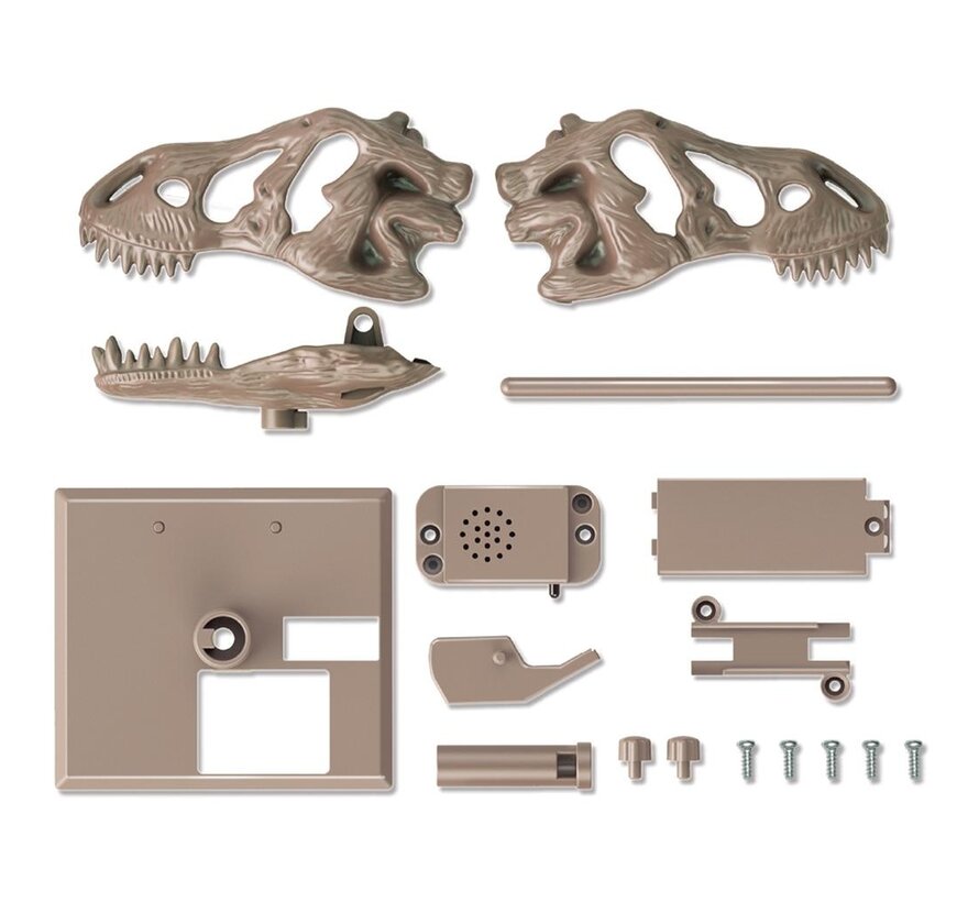 Kidzlabs Roaring T-Rex Skull