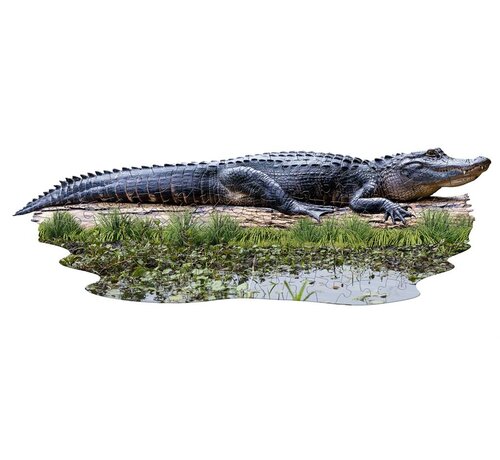 Madd Capp Puzzel Alligator I AM Gator Poster Size 100pcs