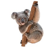 Madd Capp Puzzel Koala I AM Koala Poster Size 100pcs