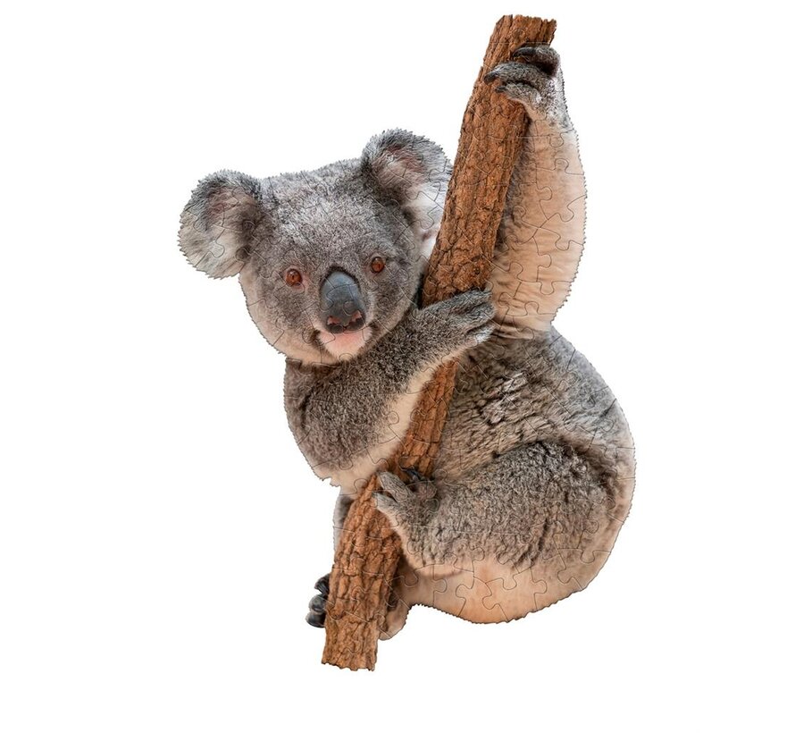 Puzzel Koala I AM Koala Poster Size 100pcs