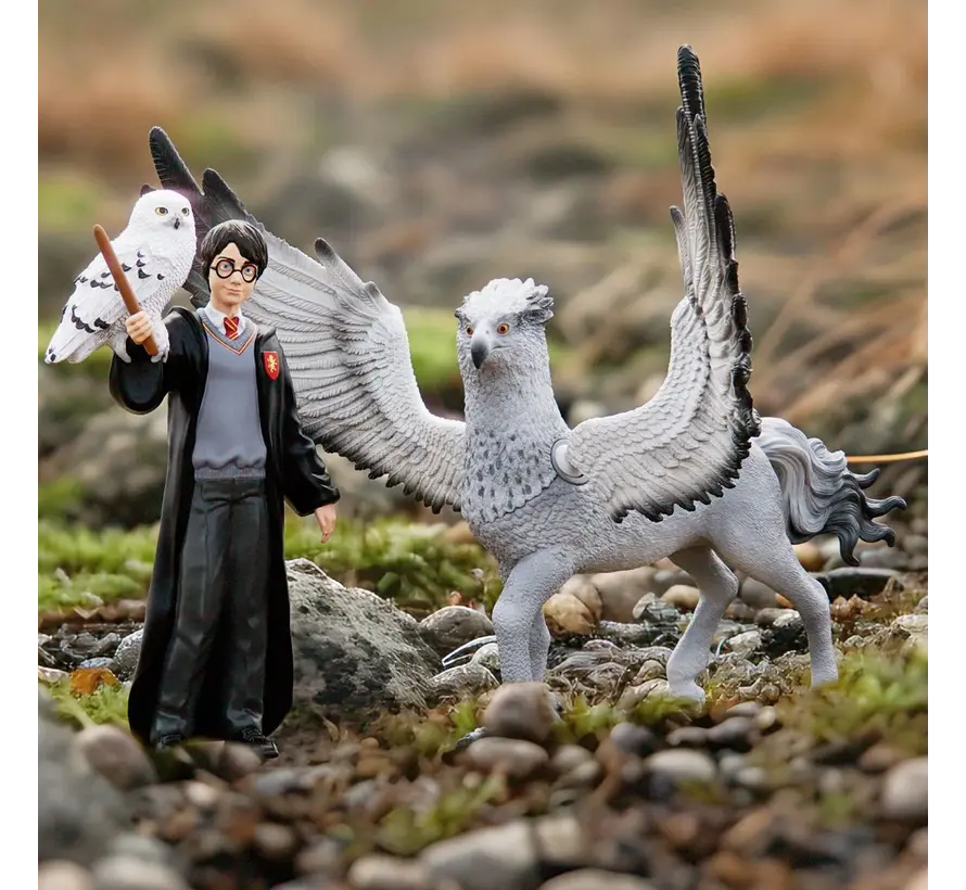 Harry Potter en Hedwig