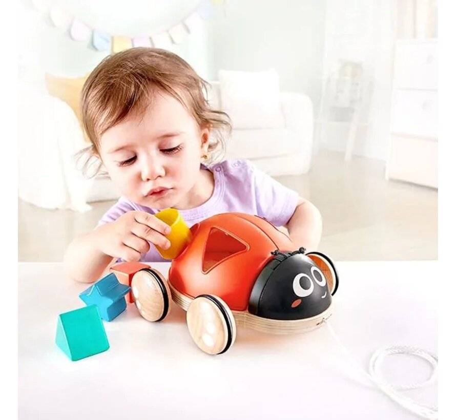 Shape Sorter Ladybug