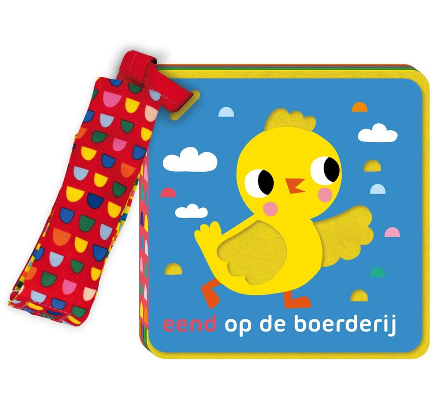 Buggyboekje eend op de boerderij