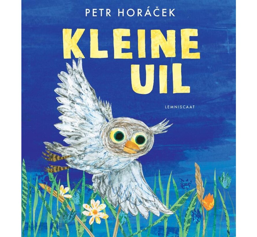 Kleine Uil