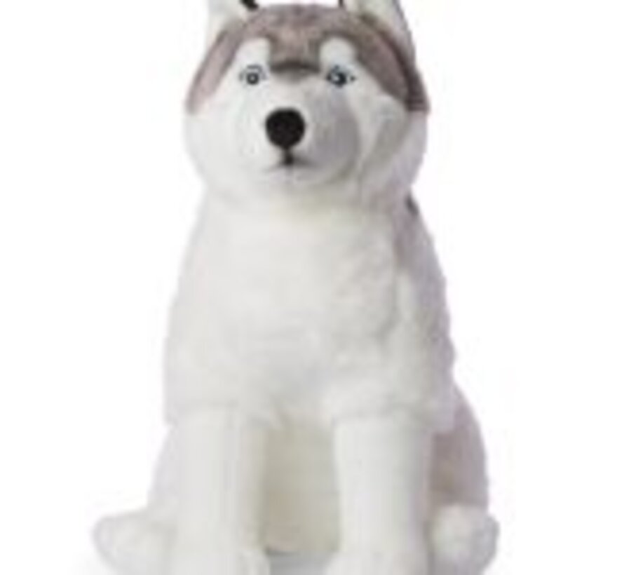 Knuffel Husky Giant 70cm