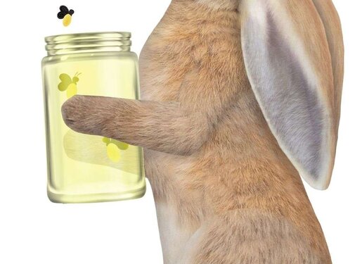 Sticky Tales Muursticker Konijn met Potje Vuurvliegjes