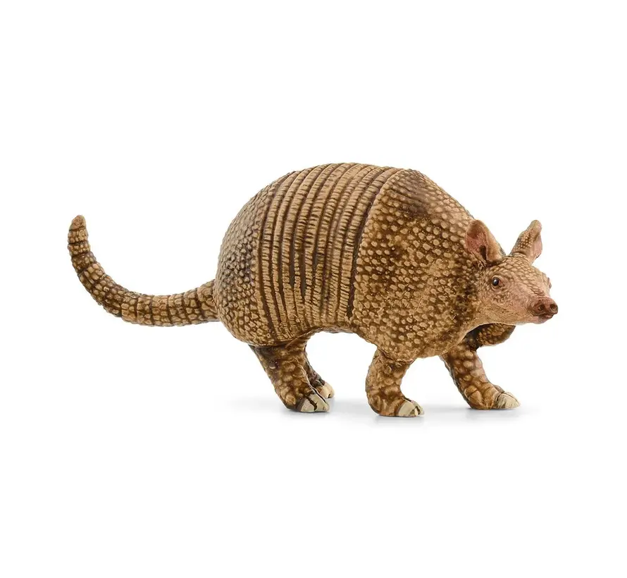 Armadillo