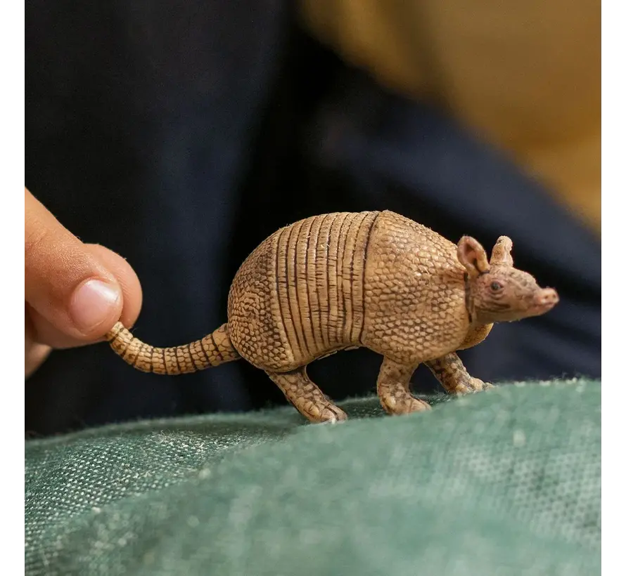 Armadillo