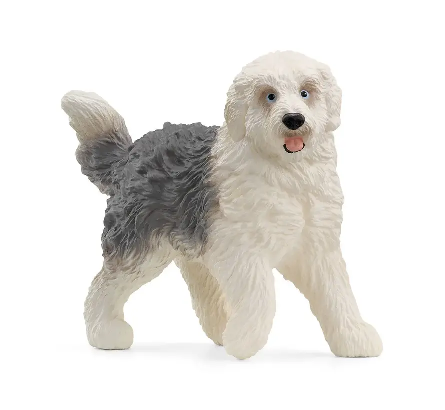 Old English Sheepdog