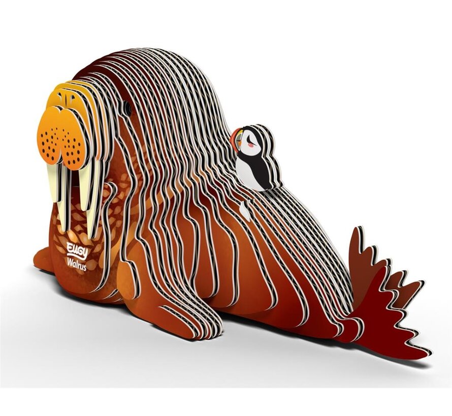 3D Bouwpakket Walrus