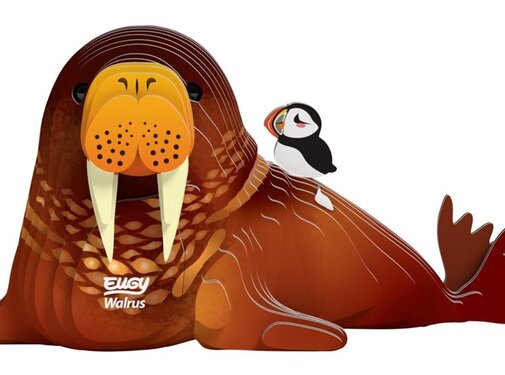Eugy 3D Bouwpakket Walrus