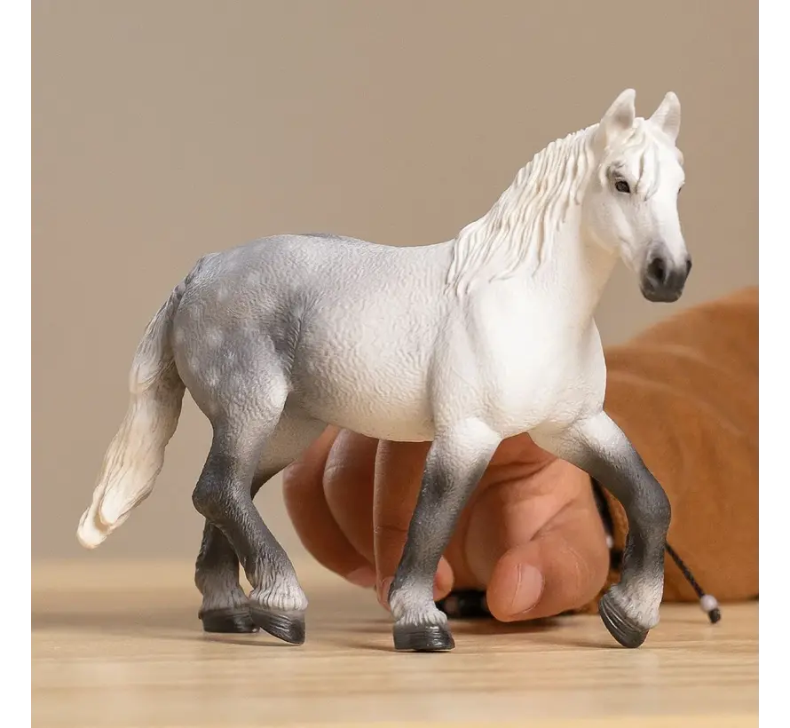 Percheron Merrie 13971