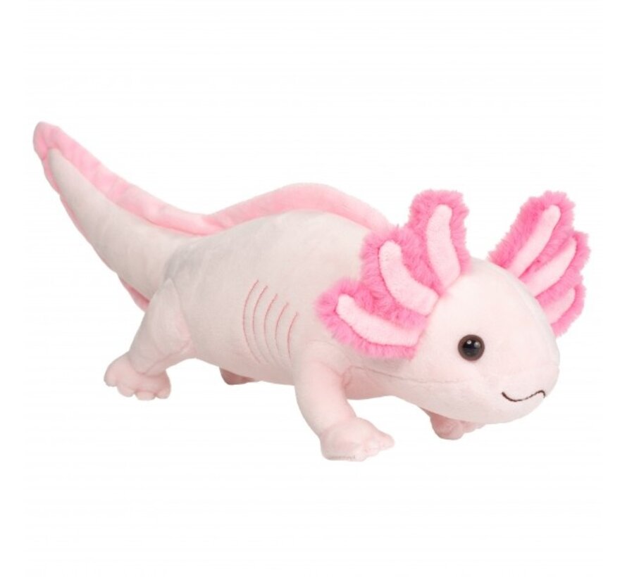 Knuffel Axolotl 36 cm