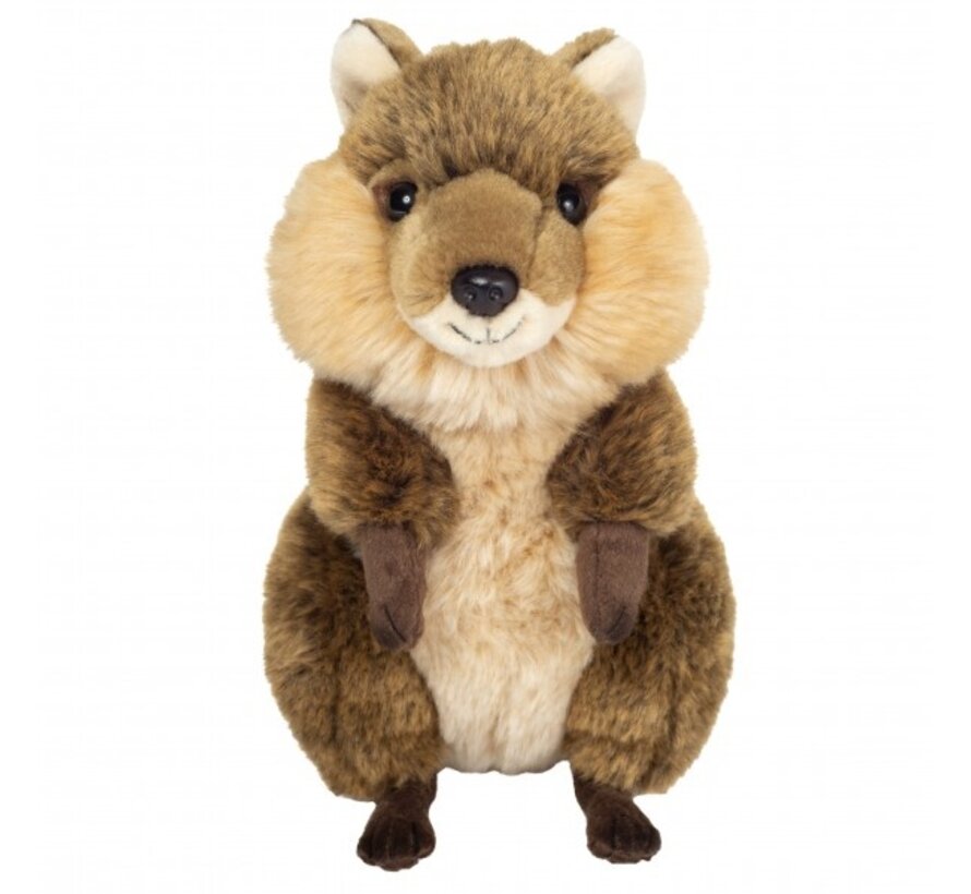 Knuffel Quokka 24 cm