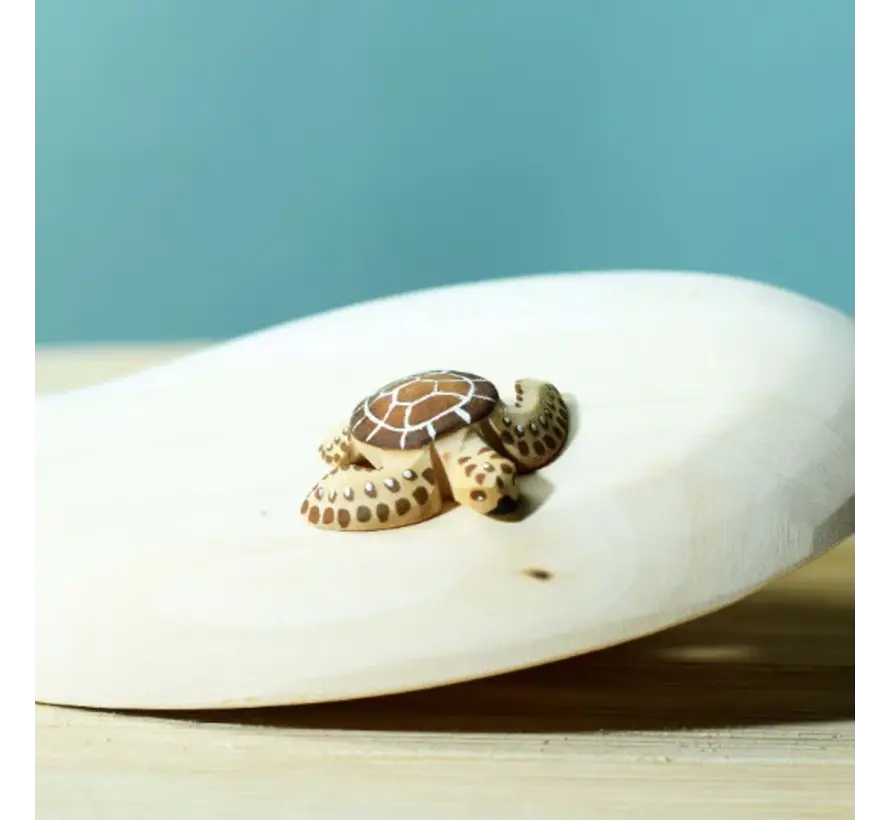 Baby Turtle Brown