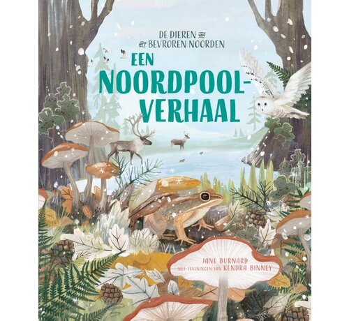 Lemniscaat Een Noordpoolverhaal