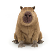 Jellycat Knuffel Clyde Capybara