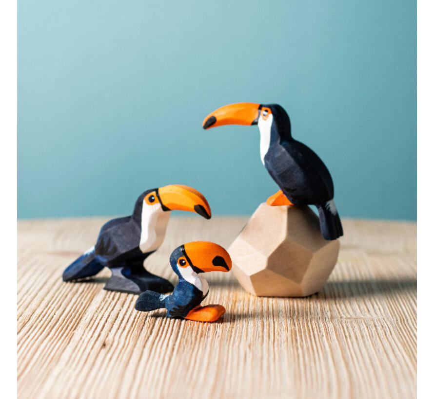 Toucan Family set 3-pcs