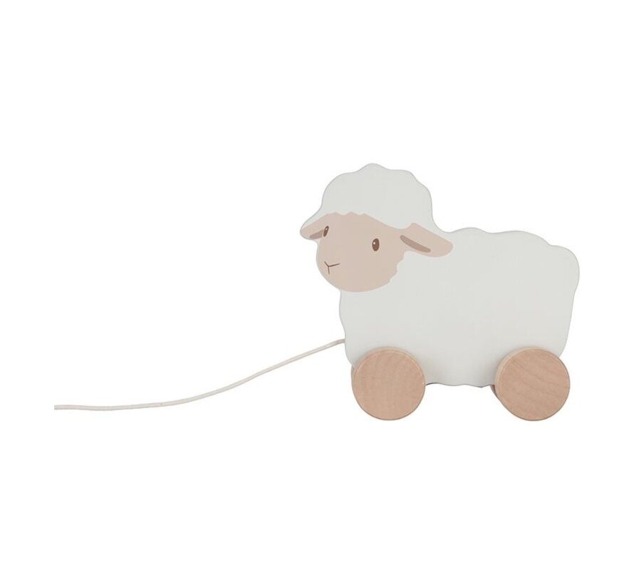 Pull Along Sheep