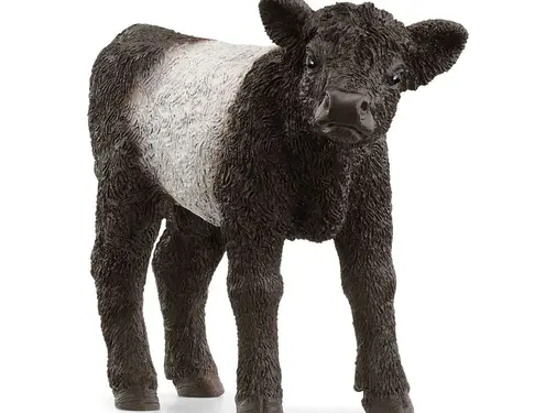 Schleich Galloway Kalf