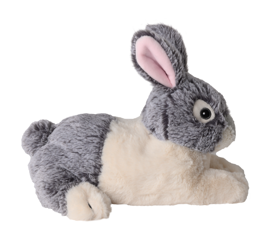 Stuffed Animal Bunny