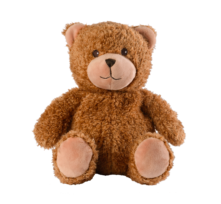 Stuffed Animal Bear