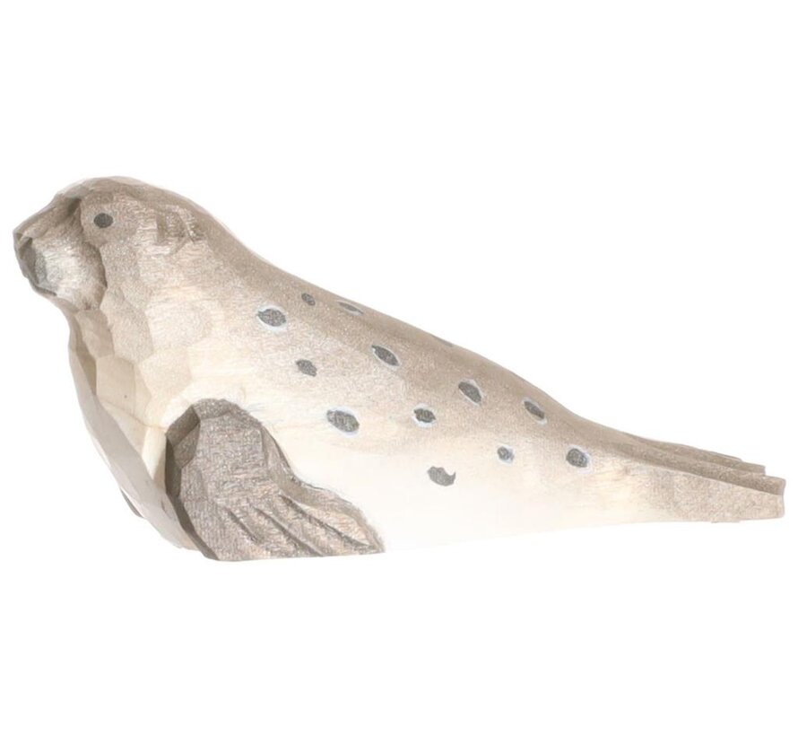 Harbour Seal 40808